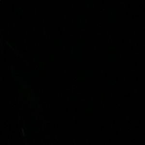 Meet your Posher, Randy